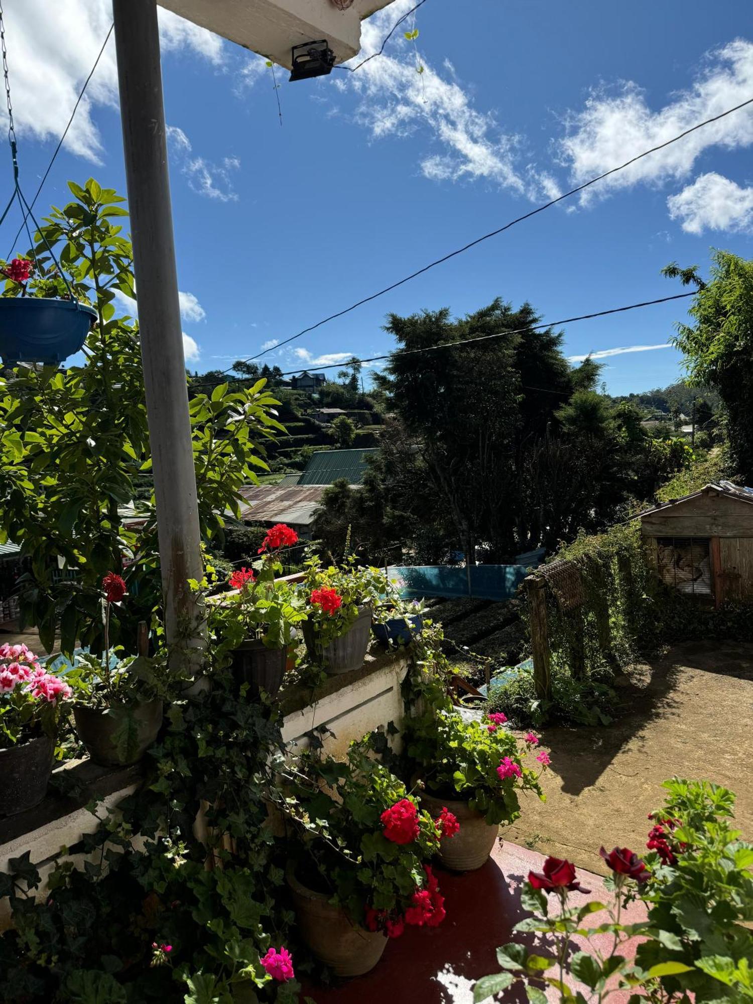 Cozy Heaven Apartman Nuwara Eliya Kültér fotó